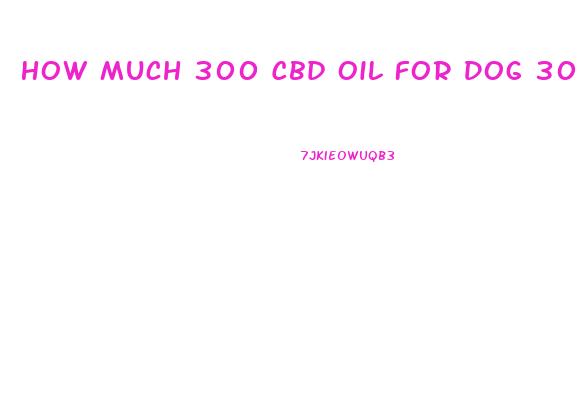 How Much 300 Cbd Oil For Dog 30 Lbs