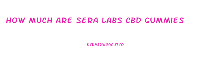 How Much Are Sera Labs Cbd Gummies