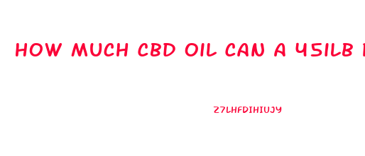 How Much Cbd Oil Can A 45ilb Person Take