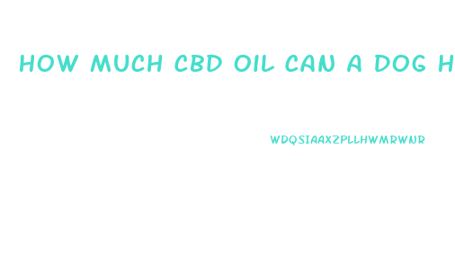 How Much Cbd Oil Can A Dog Have