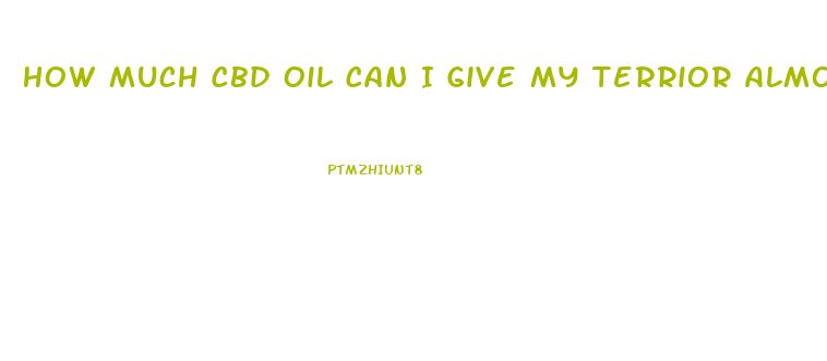 How Much Cbd Oil Can I Give My Terrior Almost Year Old