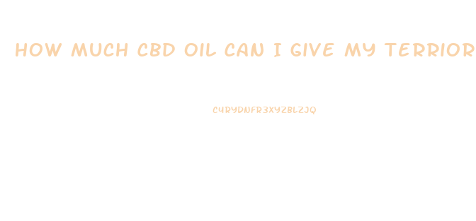 How Much Cbd Oil Can I Give My Terrior Almost Year Old