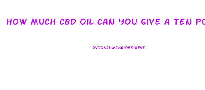 How Much Cbd Oil Can You Give A Ten Pound Cat