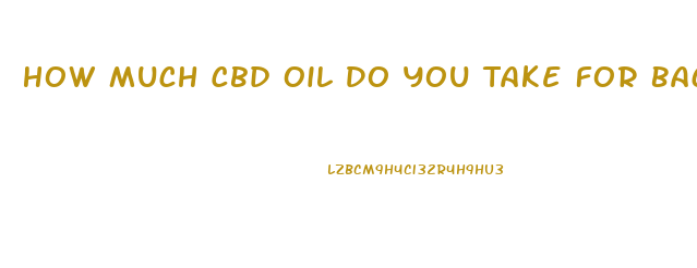 How Much Cbd Oil Do You Take For Back Pain