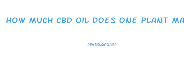 How Much Cbd Oil Does One Plant Make