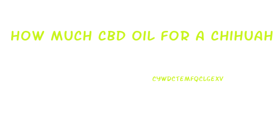 How Much Cbd Oil For A Chihuahua