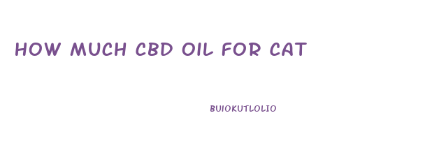 How Much Cbd Oil For Cat