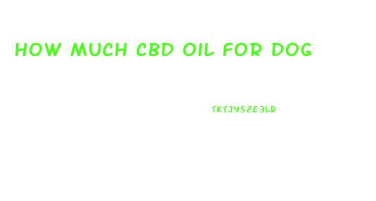 How Much Cbd Oil For Dog