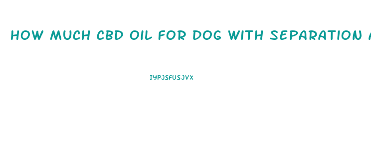 How Much Cbd Oil For Dog With Separation Anxiety