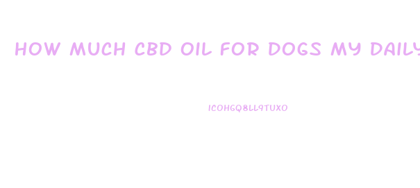How Much Cbd Oil For Dogs My Daily Choice