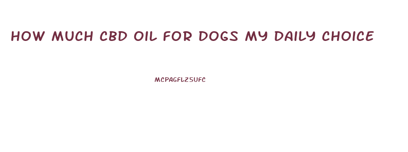 How Much Cbd Oil For Dogs My Daily Choice