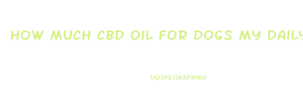 How Much Cbd Oil For Dogs My Daily Choice