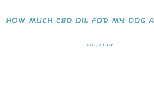 How Much Cbd Oil For My Dog Anxiety