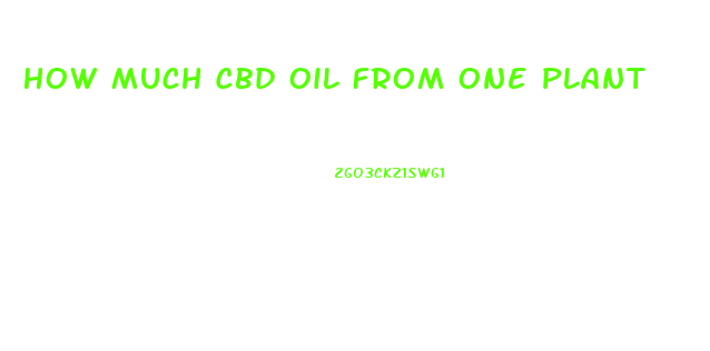 How Much Cbd Oil From One Plant