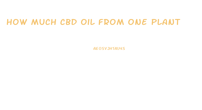 How Much Cbd Oil From One Plant