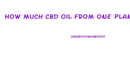 How Much Cbd Oil From One Plant