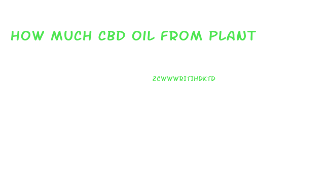 How Much Cbd Oil From Plant