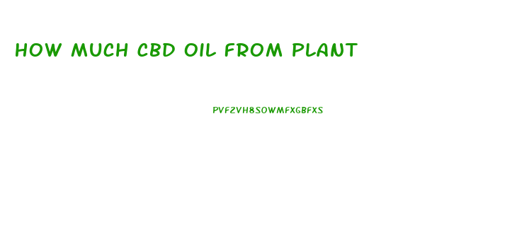 How Much Cbd Oil From Plant
