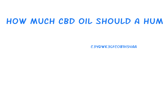 How Much Cbd Oil Should A Human Have Adult
