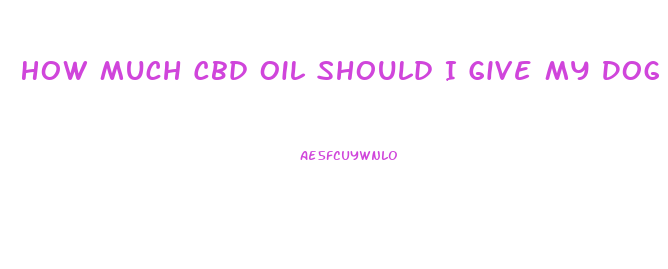 How Much Cbd Oil Should I Give My Dog For Seizures