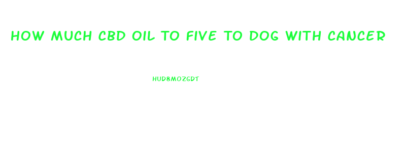 How Much Cbd Oil To Five To Dog With Cancer