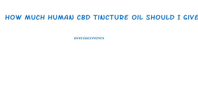 How Much Human Cbd Tincture Oil Should I Give My Dog