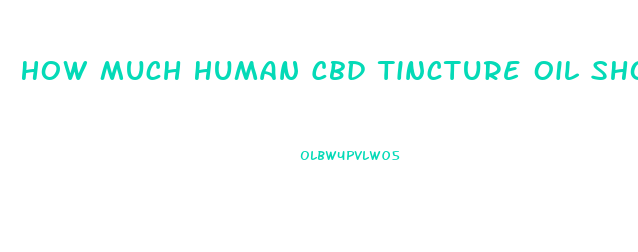 How Much Human Cbd Tincture Oil Should I Give My Dog