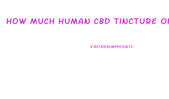 How Much Human Cbd Tincture Oil Should I Give My Dog