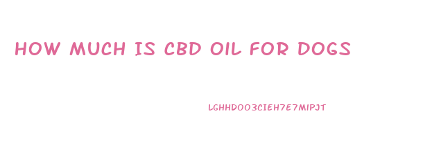 How Much Is Cbd Oil For Dogs