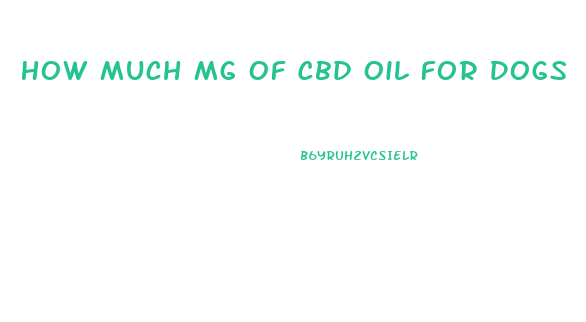 How Much Mg Of Cbd Oil For Dogs