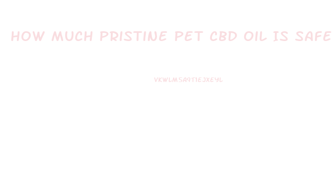 How Much Pristine Pet Cbd Oil Is Safe