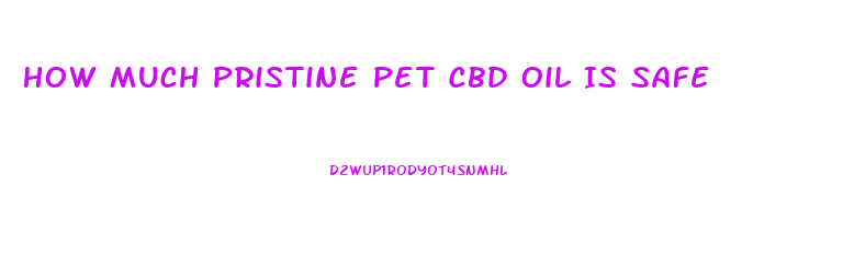 How Much Pristine Pet Cbd Oil Is Safe
