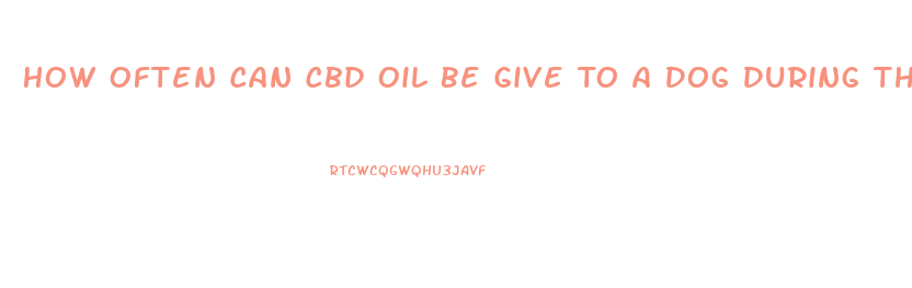 How Often Can Cbd Oil Be Give To A Dog During The Day