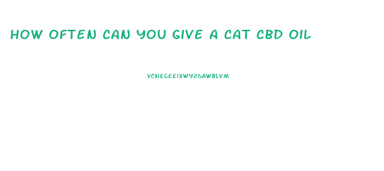 How Often Can You Give A Cat Cbd Oil