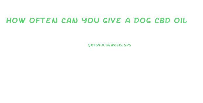 How Often Can You Give A Dog Cbd Oil