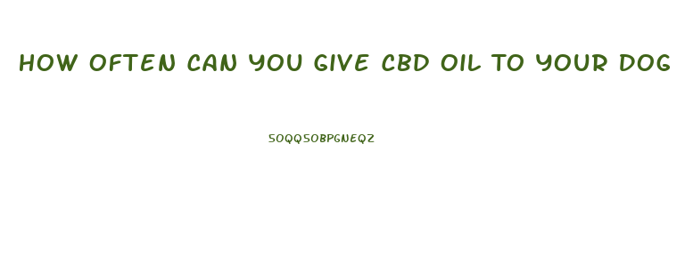 How Often Can You Give Cbd Oil To Your Dog