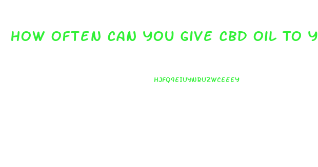 How Often Can You Give Cbd Oil To Your Dog