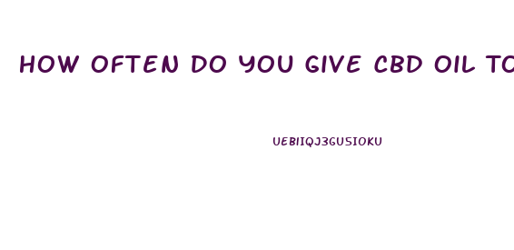 How Often Do You Give Cbd Oil To A Dog