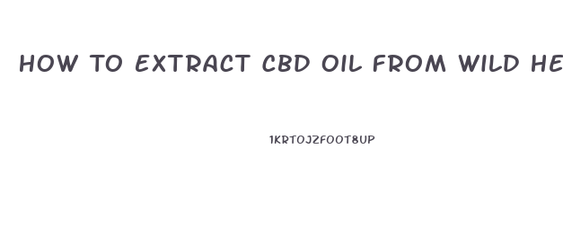 How To Extract Cbd Oil From Wild Hemp Plants