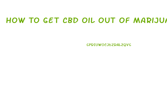 How To Get Cbd Oil Out Of Marijuana