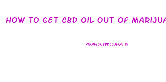 How To Get Cbd Oil Out Of Marijuana