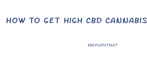 How To Get High Cbd Cannabis Oil Online