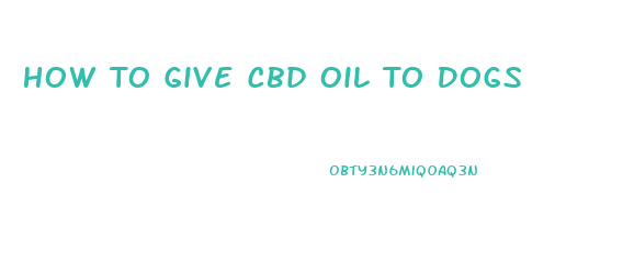 How To Give Cbd Oil To Dogs