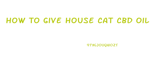 How To Give House Cat Cbd Oil