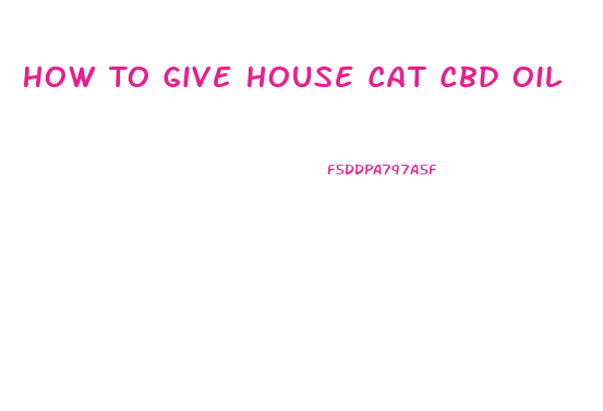 How To Give House Cat Cbd Oil