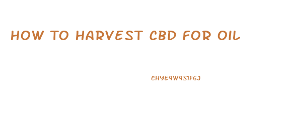 How To Harvest Cbd For Oil