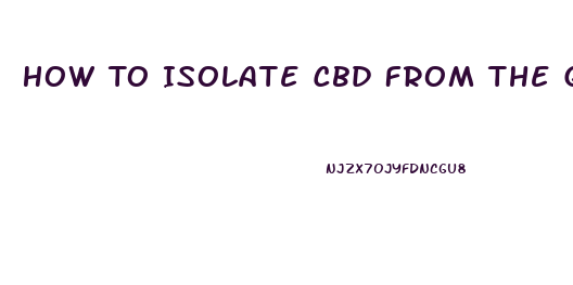 How To Isolate Cbd From The Gallon Of Oil