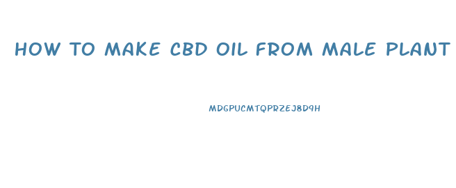 How To Make Cbd Oil From Male Plant