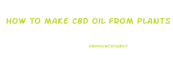How To Make Cbd Oil From Plants