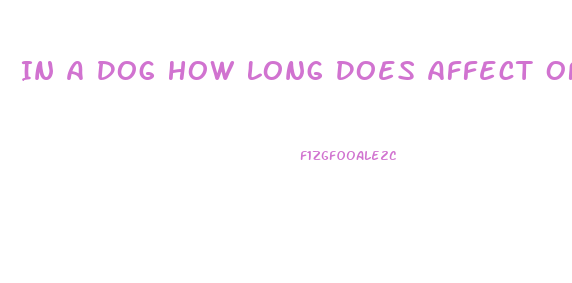 In A Dog How Long Does Affect Of Cbd Oil Last